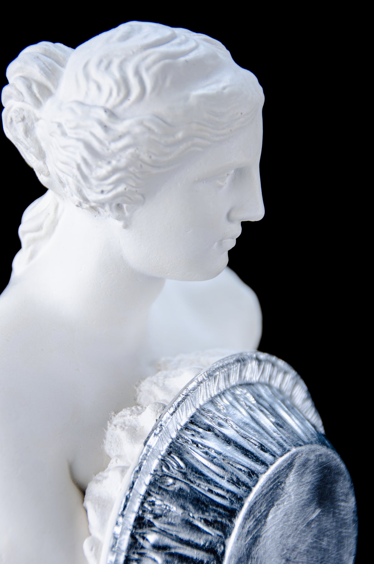 Venus de Milo- Foiled by a Pie