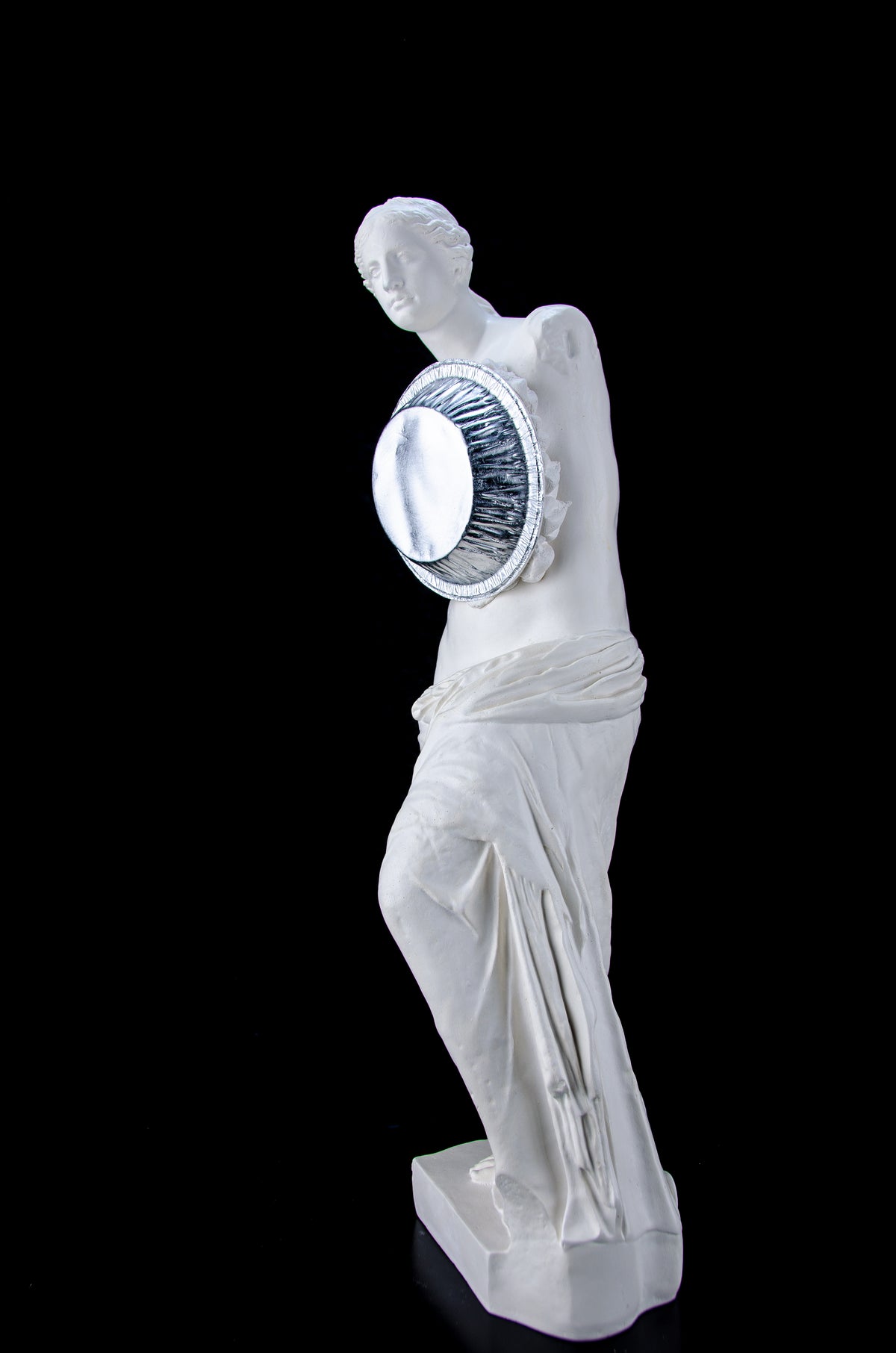 Venus de Milo- Foiled by a Pie