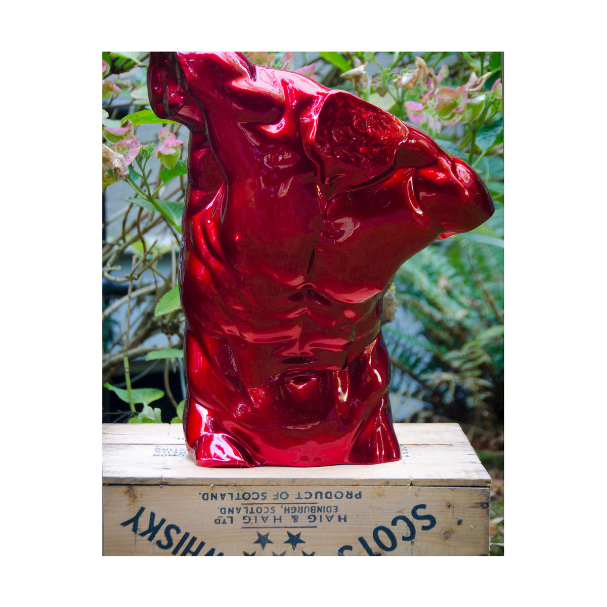 Sculptural torso bust of male figure painted in bright candy apple red, the bust is on top of a wooden whiskey crate outside , he is surrounded by green foliage with green and burgundy flowers amongst the greenery.